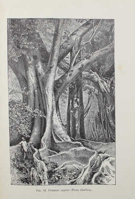 [Собрание В.Г. Лидина] Васильковский П.Е. Чудеса растительного царства. Популярные очерки из жизни растений. СПб., 1912.